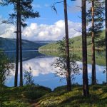 IMG-20240821-WA0066