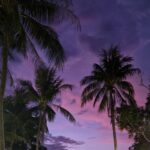 Afbeelding van WhatsApp op 2025-09-16 om 15.46.31_c3117fed