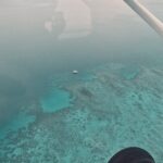 Afbeelding van WhatsApp op 2025-09-16 om 15.46.34_2c16ed13