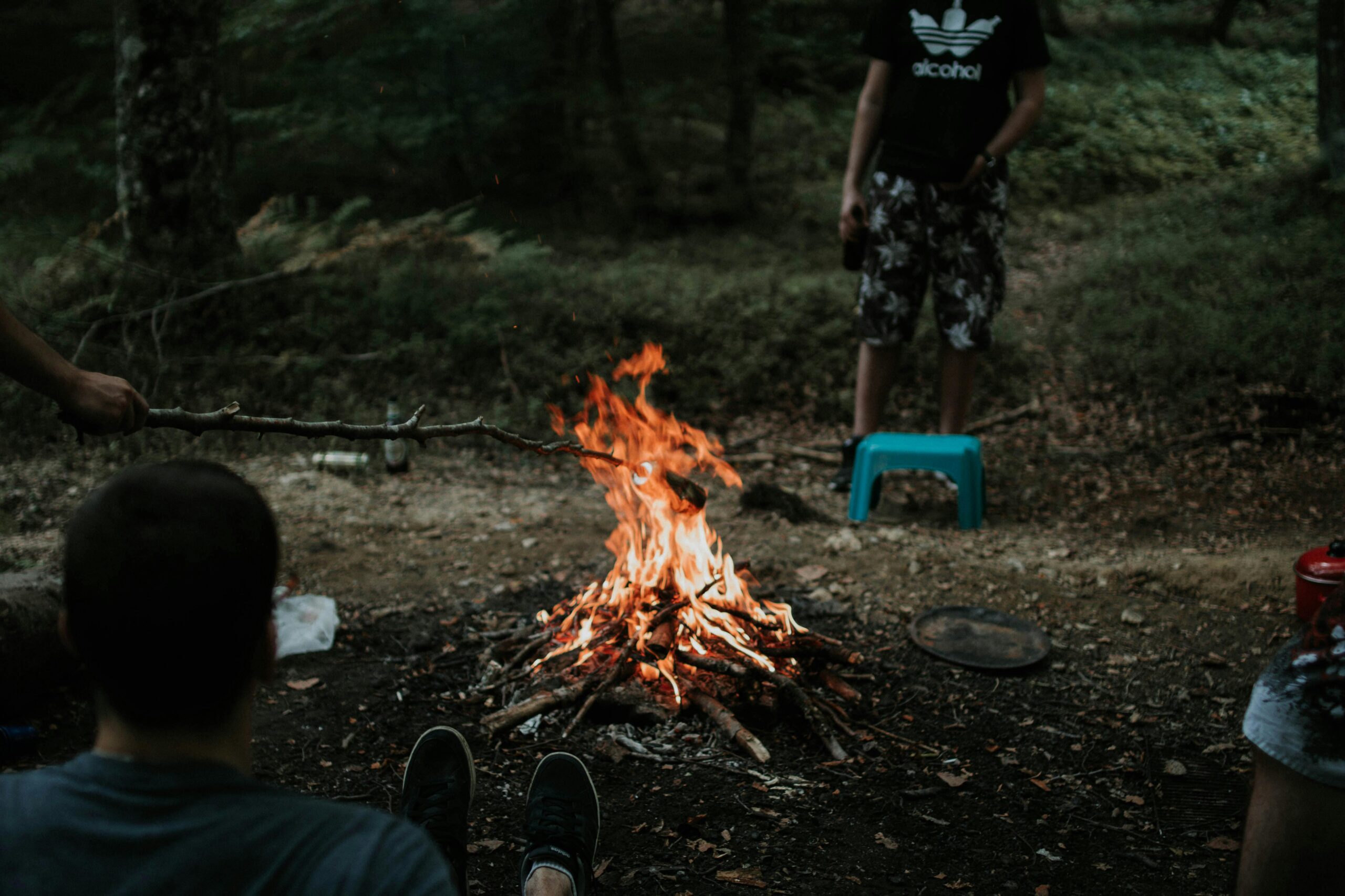 A group of friends gathers around a campfire in the forest, enjoying a casual outdoor setting.