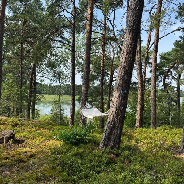 Hangmat in de natuur