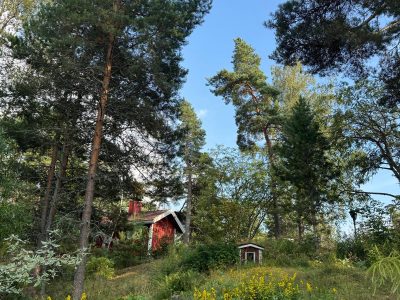 Eco lodge van ver af