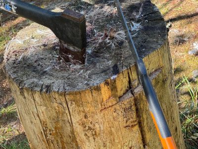 Bijl en zaag in een boomstronk