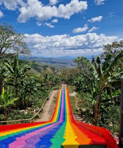 WhatsApp Image 2026-01-24 at 16.16.04